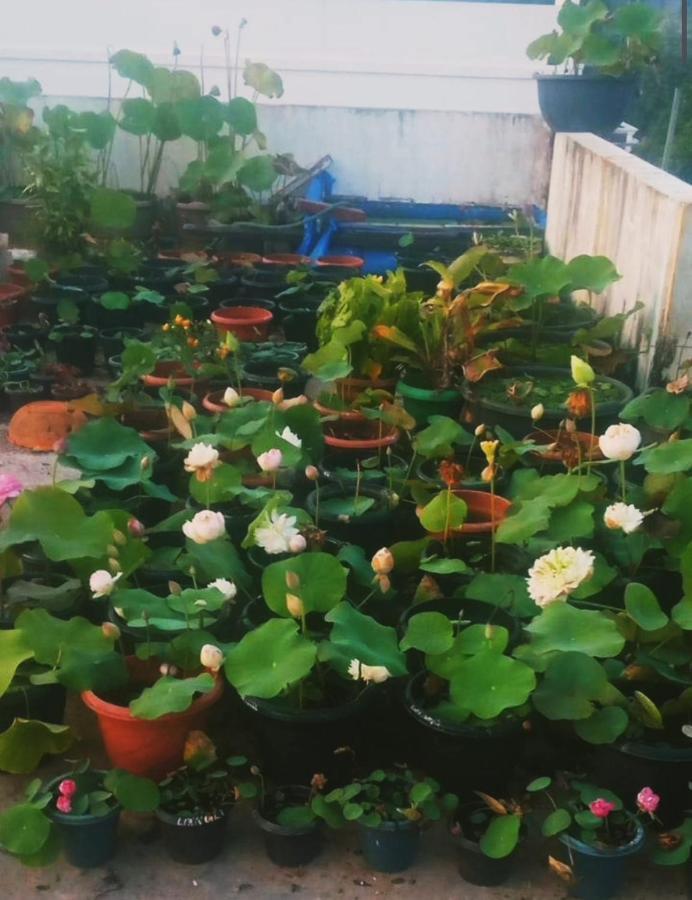 Raelyn'S Homestay Kochi Buitenkant foto