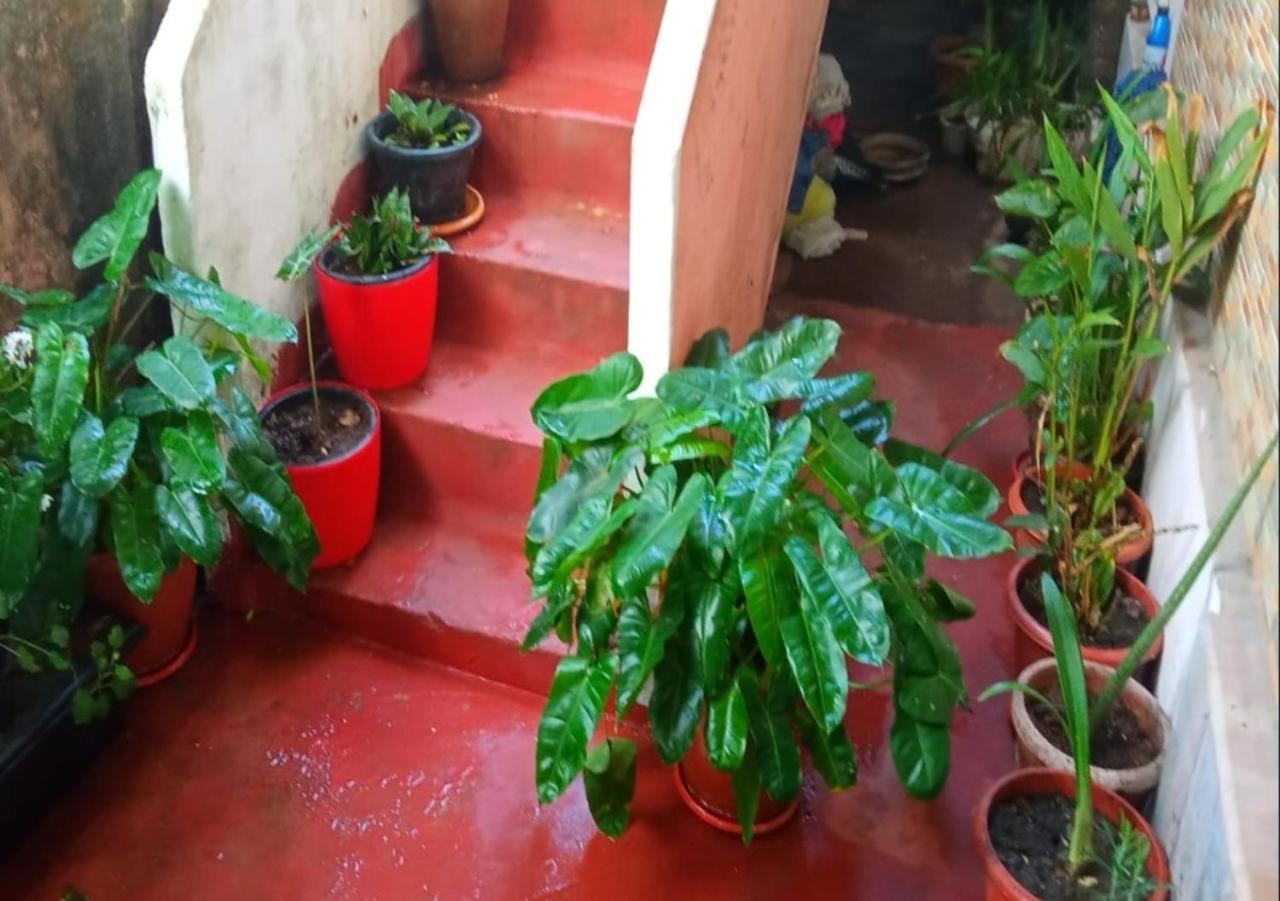 Raelyn'S Homestay Kochi Buitenkant foto