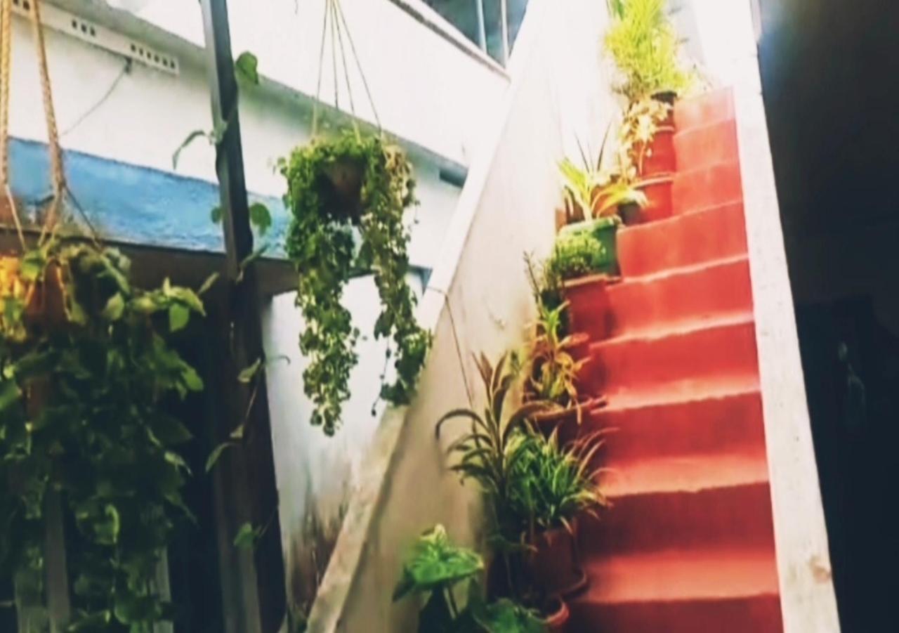 Raelyn'S Homestay Kochi Buitenkant foto